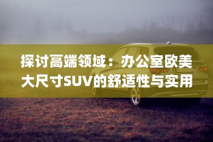 探讨高端领域：办公室欧美大尺寸SUV的舒适性与实用性分析 v5.1.3下载