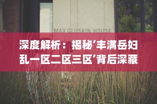 深度解析：揭秘‘丰满岳妇乱一区二区三区’背后深藏的社区乱象与社会问题