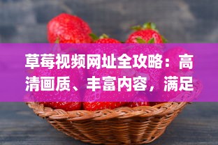 草莓视频网址全攻略：高清画质、丰富内容，满足您所有在线观看需求 v4.7.0下载