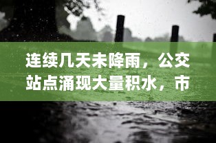 连续几天未降雨，公交站点涌现大量积水，市民出行公交车遭遇'水困'问题急需解决 v4.8.5下载