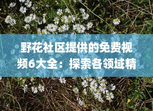 野花社区提供的免费视频6大全：探索各领域精彩内容，满足各类型观看需求 v7.8.8下载