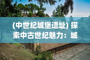 (中世纪城堡遗址) 探索中古世纪魅力：城堡英雄的辉煌战争与智勇荣誉之旅