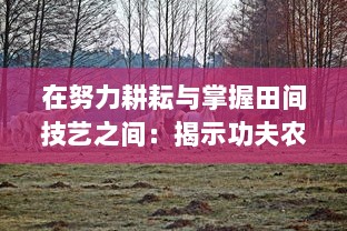 在努力耕耘与掌握田间技艺之间：揭示功夫农场如何塑造新式农耕模式的深度探究