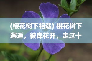 (樱花树下相遇) 樱花树下邂逅，彼岸花开，走过十里桃花最倾城的浪漫情缘