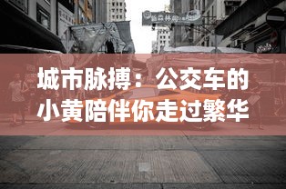 城市脉搏：公交车的小黄陪伴你走过繁华与落寂的100个故事集锦 v4.6.5下载