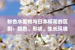 粉色水蜜桃与日本樱花的区别：颜色、形状、生长环境和文化象征解析