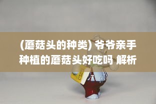 (蘑菇头的种类) 爷爷亲手种植的蘑菇头好吃吗 解析家庭农耕乐趣与健康饮食选择