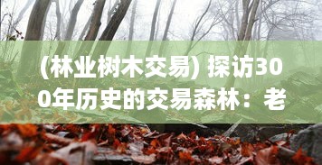 (林业树木交易) 探访300年历史的交易森林：老人揭秘悠久的林业贸易传统