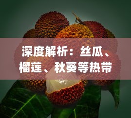 深度解析：丝瓜、榴莲、秋葵等热带水果与榴莲污污污的秘密及健康价值