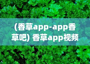 (香草app-app香草吧) 香草app视频如何引领潮流 探索内容创新与用户互动的成功秘诀