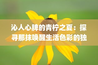 沁人心脾的青柠之夏：探寻那抹唤醒生活色彩的独特清新魅力 v9.9.8下载