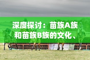 深度探讨：苗族A族和苗族B族的文化、历史和生活习惯有哪些主要区别 v9.7.1下载