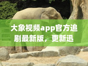 大象视频app官方追剧最新版，更新迅速无广告，畅享影视盛宴 不容错过的观影体验，尽在大象视频。