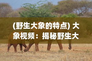 (野生大象的特点) 大象视频：揭秘野生大象的日常生活习性和保护现状