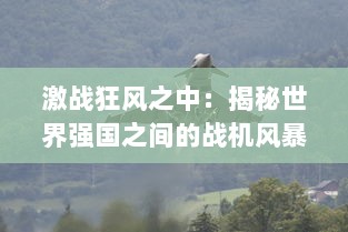 激战狂风之中：揭秘世界强国之间的战机风暴，技术革新与军事大比拼