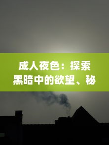 成人夜色：探索黑暗中的欲望、秘密和压抑，以及如何在深夜中找寻真我