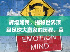 辉煌如我，揭秘世界顶级足球大赢家的历程、荣誉与背后的决策智慧