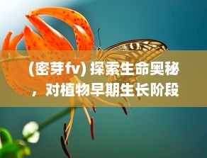 (密芽fv) 探索生命奥秘 ，对植物早期生长阶段'密芽'的深入研究与实验