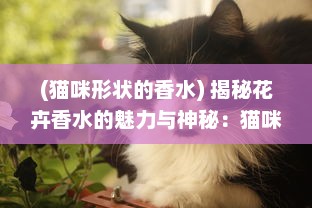 (猫咪形状的香水) 揭秘花卉香水的魅力与神秘：猫咪的特殊视角和感知