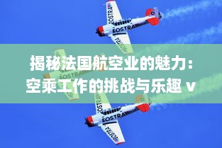 揭秘法国航空业的魅力：空乘工作的挑战与乐趣 v1.1.3下载