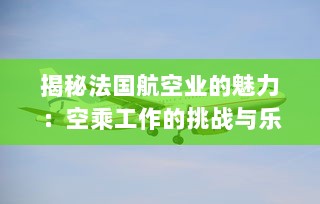 揭秘法国航空业的魅力：空乘工作的挑战与乐趣 v1.1.3下载