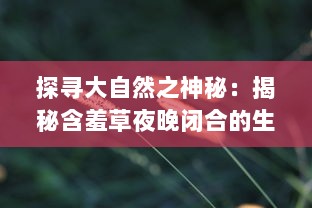 探寻大自然之神秘：揭秘含羞草夜晚闭合的生态适应学奥秘 v2.3.6下载