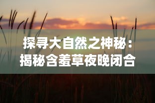 探寻大自然之神秘：揭秘含羞草夜晚闭合的生态适应学奥秘 v2.3.6下载