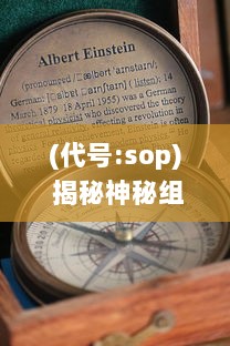 (代号:sop) 揭秘神秘组织：代号SOG的秘密行动与全球影响力解析