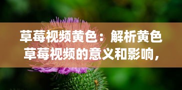 草莓视频黄色：解析黄色草莓视频的意义和影响，及其在娱乐行业中的独特地位