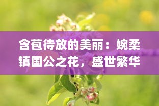 含苞待放的美丽：婉柔镇国公之花，盛世繁华的瑰丽象征 v1.9.6下载