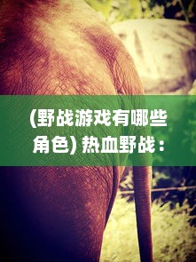 (野战游戏有哪些角色) 热血野战：隐藏在丛林深处的欢愉与危险，激情四溢的高H探险