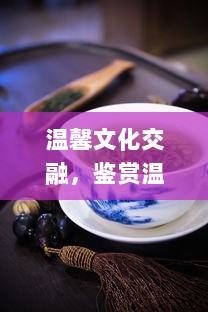 温馨文化交融，鉴赏温茶poH傅舒言：揭秘中国古代茶文化沿革与现代演变