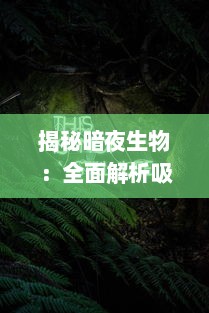 揭秘暗夜生物：全面解析吸血鬼幸存者的生存策略和合成表 v4.1.1下载