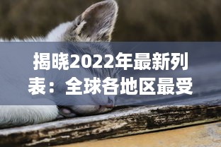 揭晓2022年最新列表：全球各地区最受欢迎的成人猫咪网名一览 v6.3.8下载