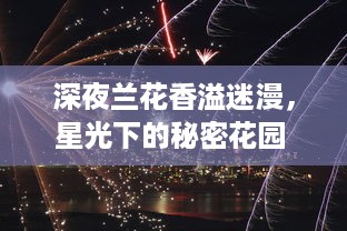 深夜兰花香溢迷漫，星光下的秘密花园 ，揭秘夜兰神秘生态与独特魅力 v3.9.0下载