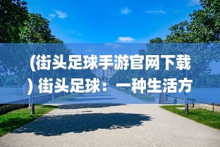 (街头足球手游官网下载) 街头足球：一种生活方式，一场城市文化的碰撞与融合