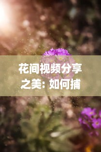 花间视频分享之美: 如何捕捉及传达自然之美的独家秘诀