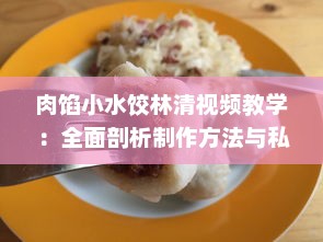 肉馅小水饺林清视频教学：全面剖析制作方法与私家独家秘诀，为你改变传统授课方式 v7.5.3下载