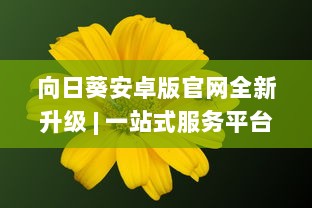 向日葵安卓版官网全新升级 | 一站式服务平台 | 官方直达下载，安全放心 v6.3.1下载