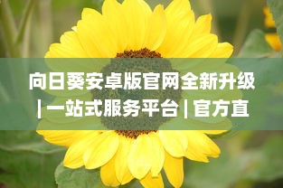 向日葵安卓版官网全新升级 | 一站式服务平台 | 官方直达下载，安全放心 v6.3.1下载