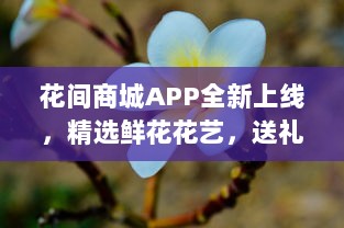 花间商城APP全新上线，精选鲜花花艺，送礼自用两相宜，品质保证，快速送达 v5.6.7下载