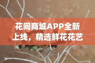 花间商城APP全新上线，精选鲜花花艺，送礼自用两相宜，品质保证，快速送达 v5.6.7下载