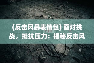 (反击风暴表情包) 面对挑战，抵抗压力：揭秘反击风暴背后的英勇故事和坚韧意志