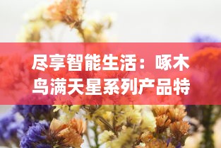 尽享智能生活：啄木鸟满天星系列产品特点全解析，为你的生活增添无尽灵动魅力