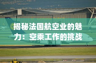 揭秘法国航空业的魅力：空乘工作的挑战与乐趣 v8.2.9下载