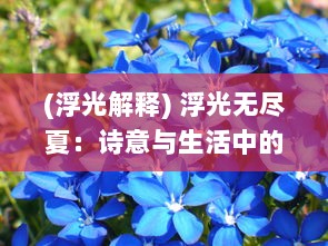 (浮光解释) 浮光无尽夏：诗意与生活中的邂逅，思绪的漫舞与心灵的涌动