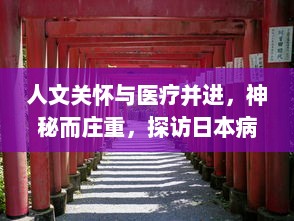 人文关怀与医疗并进，神秘而庄重，探访日本病病神社的建造过程与文化传承