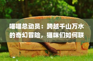 喵喵总动员：跨越千山万水的奇幻冒险，猫咪们如何联手拯救他们的世界