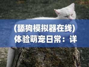 (舔狗模拟器在线) 体验萌宠日常：详解甜狗模拟器的游戏玩法与趣味互动功能