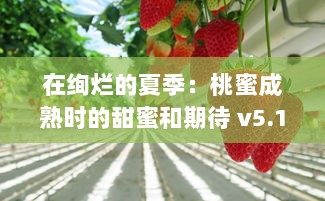 在绚烂的夏季：桃蜜成熟时的甜蜜和期待 v5.1.8下载